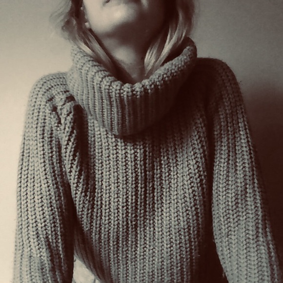 Lulu & Rose Sweaters - Lulu & Rose Chunky Cropped Knit Turtleneck